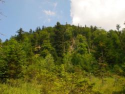2013-07-20_Regina-F-Rau_Kochel-Rabenkopf (328).JPG